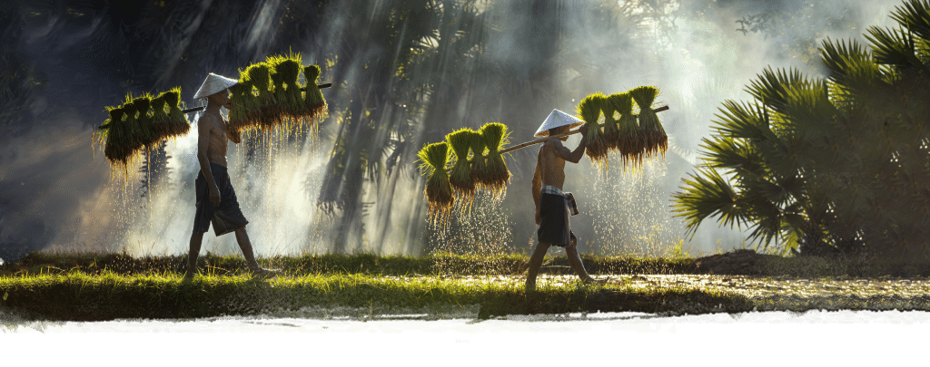 Cuisine asiatique les trois d'Asie, entre tradition et exotisme